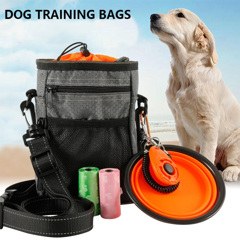 A dog and the Dog Training Treat Pouch with two poop bags and a orange fold out bowl